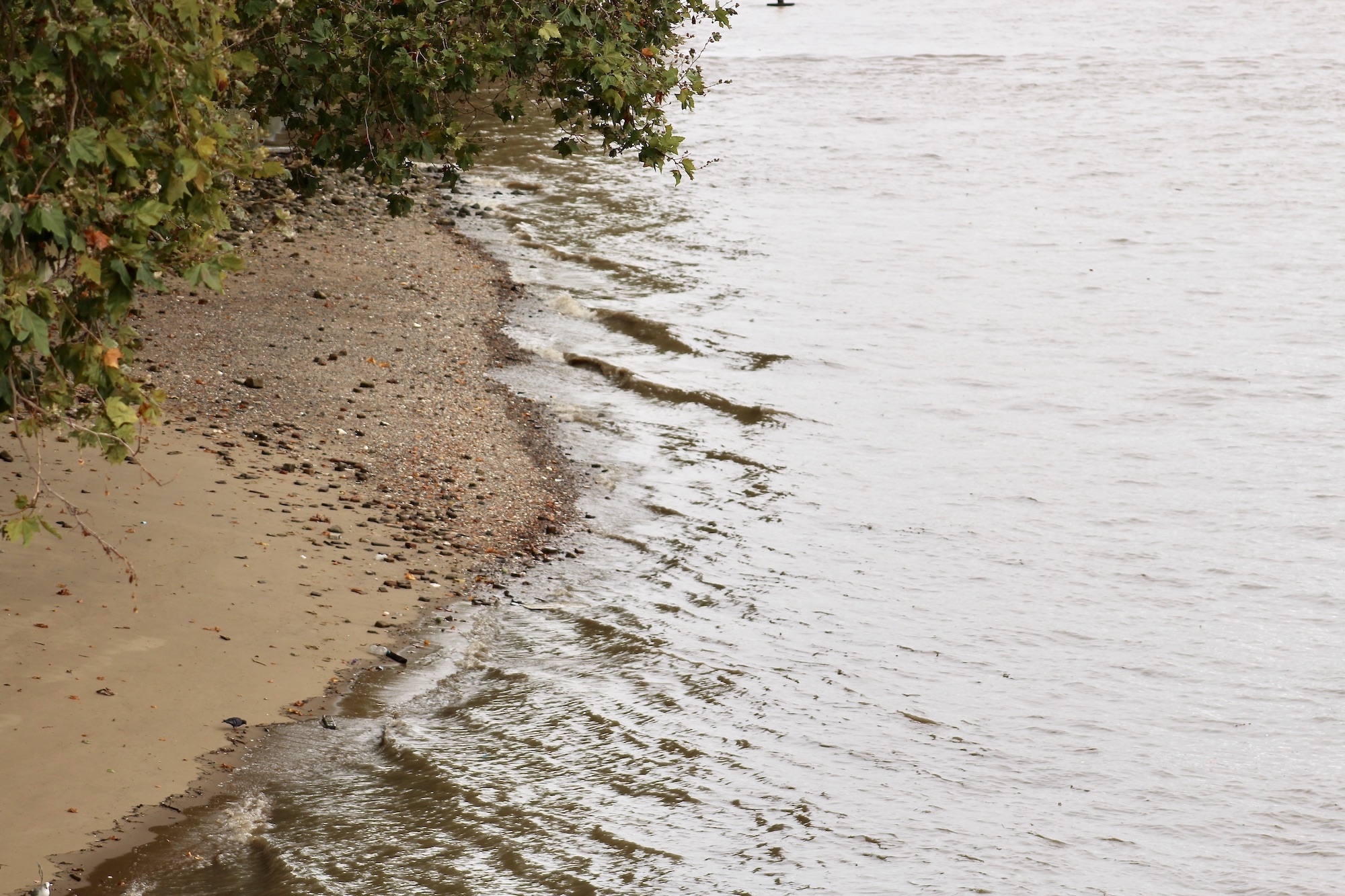 Waves on Lambeth Reach β Ebb & Flow